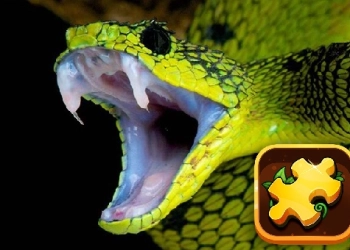Snake Puzzle Challenge